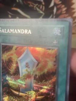 Yugioh: Salamandra - DDS-006 - Secret Rare - MP - Image 4