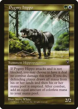 Pygmy Hippo Visions LP MTG - Image 1