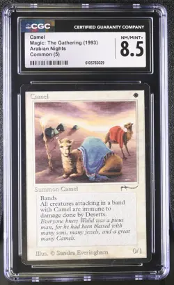 Camel. Arabian Nights MTG. Just graded. CGC 8.5, Near Mint/Mint+! - Image 1