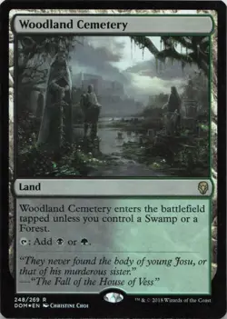 Woodland Cemetery - FOIL - R Dominaria 248 - MTG - Image 1