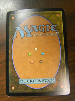 MTG 10th Edition Foil Rare Plague Wind Excellent - NM Cond - Image 2