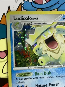Ludicolo 13/132 Holo BLEED Error Rare Secret Wonders Pokemon Card Swirl - Image 3