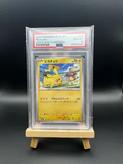 Pokemon Japanese SV-P Promo Pikachu Gym Event Campaign PSA 10 GEM MINT - Image 3