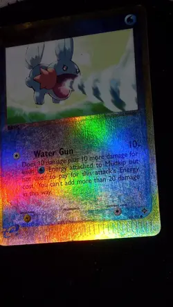 Pokemon TCG Mudkip EX Dragon 65/97 Reverse Holo Common LP+/NM - Image 1