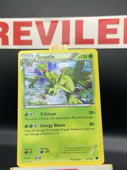 Pokemon Card Sceptile #8/116 Black & White-Plasma Freeze Holo Rare - HP - Image 1