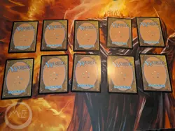 Secret Lair Basic Lands Brain Dead Foil - Image 2