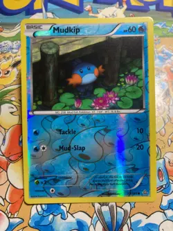 Mudkip 33/160 Common Primal Clash Pokemon Reverse Holo TCG - Image 1