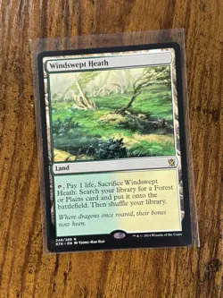 Magic the Gathering MTG Windswept Heath (248) Khans of Tarkir KTK Rare Land LP - Image 1