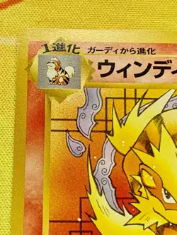 Arcanine Intro Pack Squirtle Deck 32 Japanese Pokemon Card 1999 #2484 - Image 3