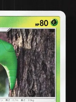 Metapod 002/060 NM Collection Sun Japanese Pokemon Card TCG - Image 5