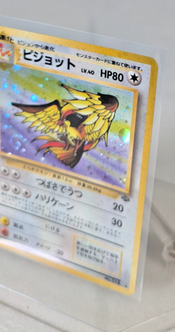 Pokemon - Pidgeot - Holo Rare No. 018 - Japanese - Jungle - Image 2