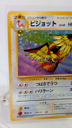 Pokemon - Pidgeot - Holo Rare No. 018 - Japanese - Jungle - Image 4
