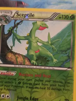Sceptile 8/160 XY Primal Clash Reverse Holo Rare Pokemon Card - Image 2
