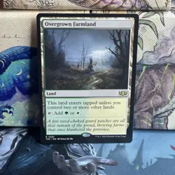 Overgrown Farmland #0381 Commander: Tarkir: Dragonstorm Regular NM - Image 1