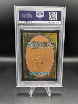 2019 Magic The Gathering Snow-Covered Forest PSA 9 - Image 2