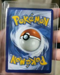 Pokemon TCG: S&V Paldea Evolved - Squawkabilly ex SIR 264/193 - NM Near Mint - Image 4