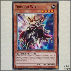 Dododo Witch - SECE-EN091 - Common 1st Edition Yugioh - Image 1