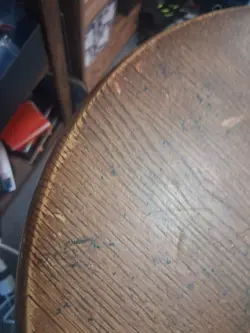 Pokemon Pachirisu Great Encounters Holo Card 5/106 Rare NM Fast Ship - Image 5