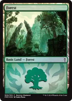 1x Forest (B08/010) - Foil Ravnica Weekend Promo Moderate Play MTG Magic - Kid I - Image 1
