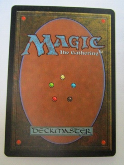 MTG Pox Fifth Edition 5th Light Play!! - Image 2