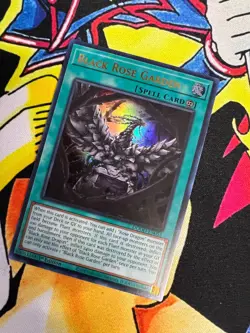 Black Rose Garden - DOOD-EN055 - 1st Edition - Ultra Rare - NM 0- Yugioh - Image 1