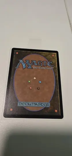 Choco, Seeker of Paradise #569 (Borderless Track Foil) Magic The Gathering - Image 3