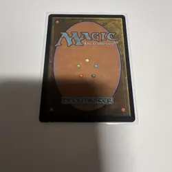 Magic The Gathering - Wan Shi Tong, Librarian #78 Non-Foil - Image 2