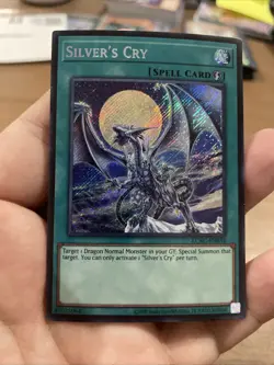 Silver’s Cry LCKC-EN034 Unlimited Secret Rare Near Mint +Bonus FREE SHIPPING! - Image 1