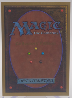 Lich 1993 Collector's Edition Enchantment Magic: the Gathering (CE) - Image 2