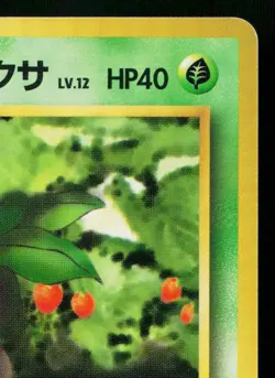 ERIKA'S ODDISH No.043 TAMAMUSHI CITY GYM DECK JAPANESE POKEMON TCG - Image 3