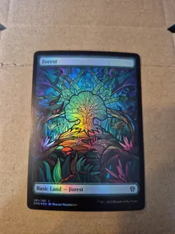Forest (Showcase) Dominaria United Foil - Image 1