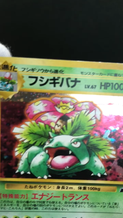 Pokemon TCG Venusaur VHS Intro Pack Promo No. 003 Holo Japanese Card Nintendo - Image 2
