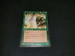 MTG 1x 4th Edition green rare MP Chinese FBB Force of Nature - ships w/ tracking - Image 1