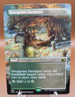BORDERLESS Overgrown Farmland x1 MTG Innistrad Magic Light Play LP English - Image 1