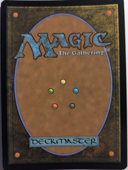 Hauntwoods Shrieker Borderless Foil Duskmourn: House of Horror 349 MtG - Image 2