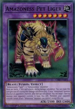 1x (NM) Amazoness Pet Liger - CIBR-EN094 - Common - 1st Edition YuGiOh - Image 1