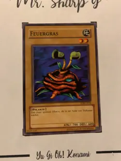 FEUERGRAS - LOB-G014 DEUTSCH Yu-Gi-Oh! CARD COMMON KONAMI - Image 3