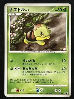 Pokemon Japanese Turtwig Promo - Junior Stamp Rally - 117/DP-P LP - Image 1