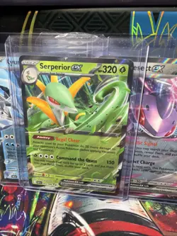 Pokemon TCG 12 Mixed (10 Black Bolt Ex And Full Art Cards Plus 2 Extra Ex Cards) - Image 5