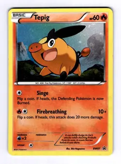 Tepig - BW07 Black and White Promos #BW7 (2011) Promo Holo NM Pokemon - Image 1