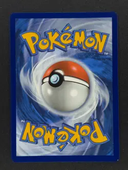Palpitoad 104 Pokemon BLK Black Bolt 2025 NM 🔥🔥🔥 - Image 2