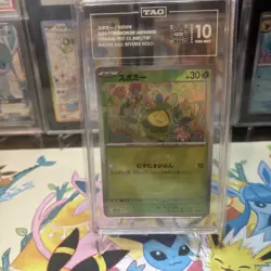 Pokemon Budew Master Ball Reverse 001/187 Terastal Festival Japanese TAG 10 - Image 2