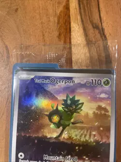SEALED Teal Mask Ogerpon SVP123 Black Star Promo Card Pokemon TCG Mint - Image 3