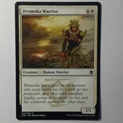 Dromoka Warrior Regular - Image 1