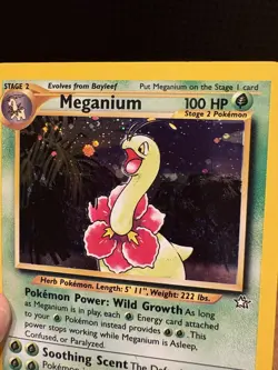 Pokemon TCG Meganium Neo Genesis Holo Unlimited Rare Card 11/111 - Image 5
