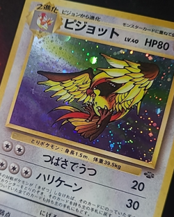 Pokemon Pidgeot Roucarnage 018 Jungle Holo Wizards - Japanese Jpn - Image 3