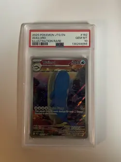 Pokemon Journey Together Wailord 162/159 PSA 10 Gem Mint Illustration Rare - Image 2