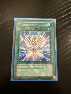 Transcendent Wings CRV-EN045 Cybernetic Revolution Unlimited - Image 1