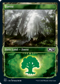 Forest (Showcase 313) Core Set 2021 / M21 NM Basic Land Showcase CARD ABUGames - Image 1