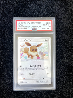 2018 Pokemon Japanese 243/SM-P Eevee Card Game Classroom PSA 10 GEM MINT - Image 1